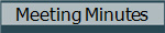Meeting Minutes